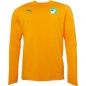 Preview: Puma Herren FIF Ivory Coast Sweatshirt Orange Größe XL