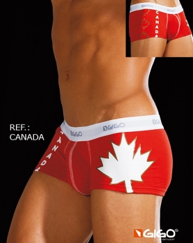 Gigo Canada Boxer